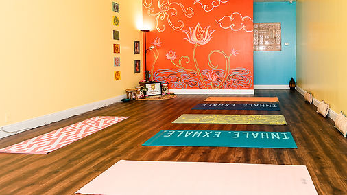Yoga mats ready for a beginners Hatha class at the studio